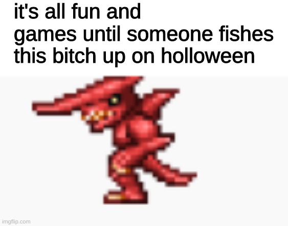 oh golly gee | it's all fun and games until someone fishes this bitch up on holloween | image tagged in terraria | made w/ Imgflip meme maker