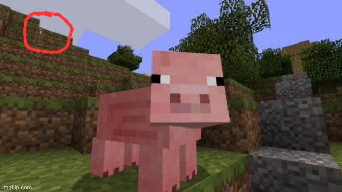 Tablebrine | image tagged in minecraft pig,tablebrine,sighting | made w/ Imgflip meme maker