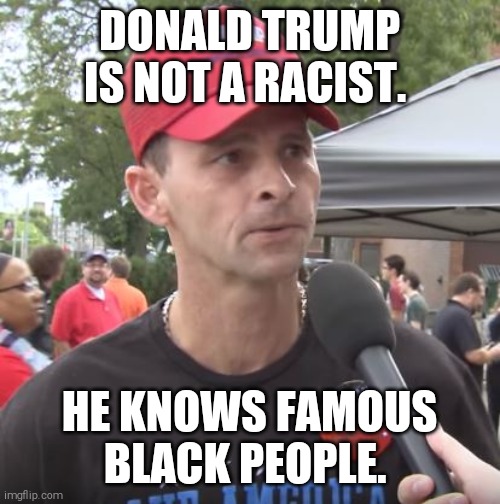 American racism 101: a black person who is famous is suddenly worth talking to. | DONALD TRUMP IS NOT A RACIST. HE KNOWS FAMOUS BLACK PEOPLE. | image tagged in memes,trump supporters,racist,pigs | made w/ Imgflip meme maker