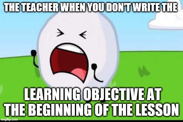 BFDI Snowball NOOOOO | THE TEACHER WHEN YOU DON'T WRITE THE; LEARNING OBJECTIVE AT THE BEGINNING OF THE LESSON | image tagged in bfdi snowball nooooo | made w/ Imgflip meme maker