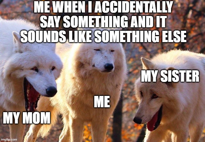 2/3 wolves laugh | ME WHEN I ACCIDENTALLY SAY SOMETHING AND IT SOUNDS LIKE SOMETHING ELSE; MY SISTER; ME; MY MOM | image tagged in 2/3 wolves laugh | made w/ Imgflip meme maker