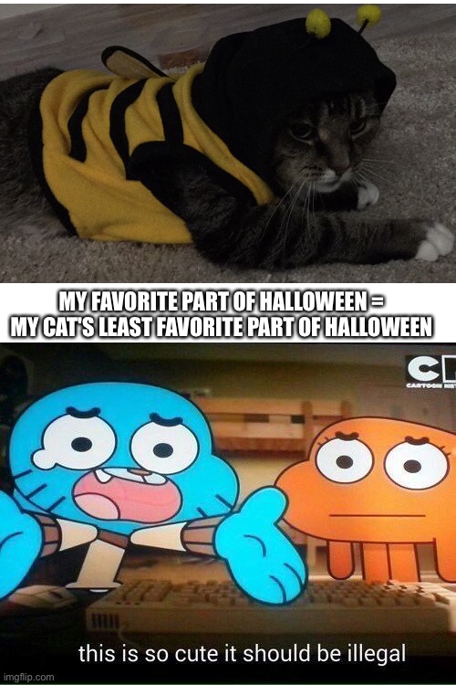this is so cute it should be illegal | MY FAVORITE PART OF HALLOWEEN = MY CAT'S LEAST FAVORITE PART OF HALLOWEEN | image tagged in this is so cute it should be illegal,cat,cute cat,depressed cat,halloween costume,halloween | made w/ Imgflip meme maker