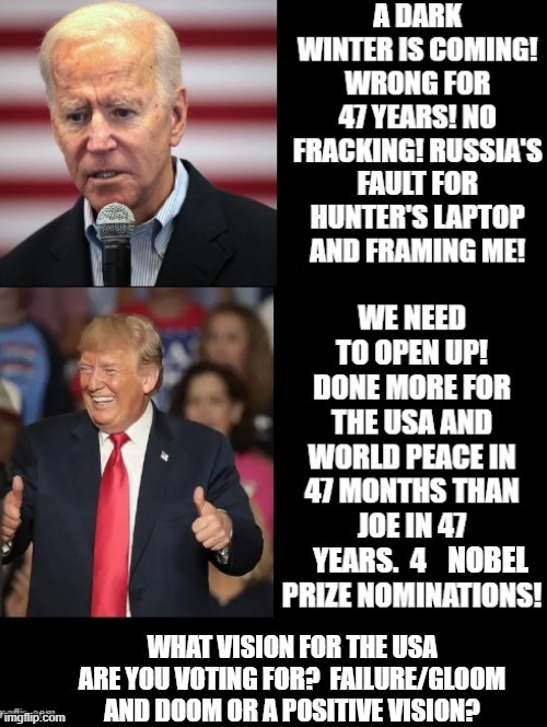 What Vision Of The USA Are You Voting For? Dark Winter? We Are Going To Beat The Virus? | NOBEL | image tagged in stupid liberals,biden,trump | made w/ Imgflip meme maker