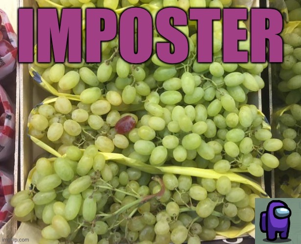 Purple Grape | image tagged in funny memes,among us | made w/ Imgflip meme maker