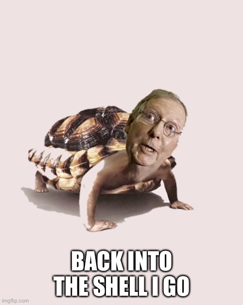 BACK INTO THE SHELL I GO | made w/ Imgflip meme maker