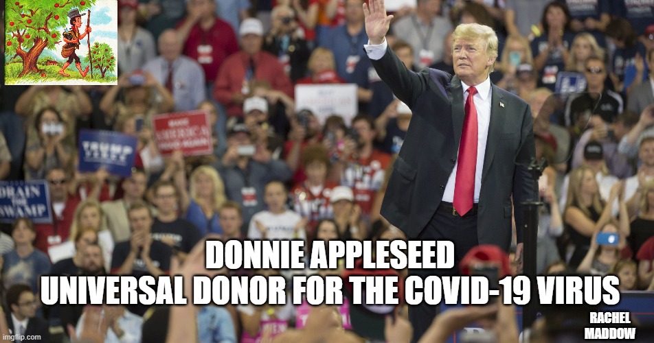 Donnie appleseed | DONNIE APPLESEED
UNIVERSAL DONOR FOR THE COVID-19 VIRUS; RACHEL MADDOW | image tagged in donald trump | made w/ Imgflip meme maker