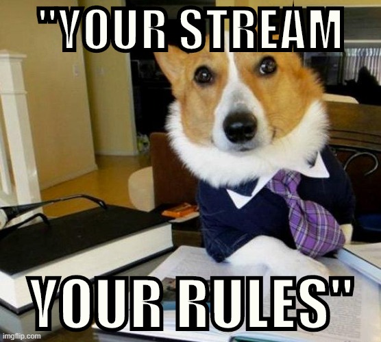 It’s the prevailing ethos of ImgFlip. | "YOUR STREAM YOUR RULES" | image tagged in lawyer dog,imgflip,meme stream | made w/ Imgflip meme maker