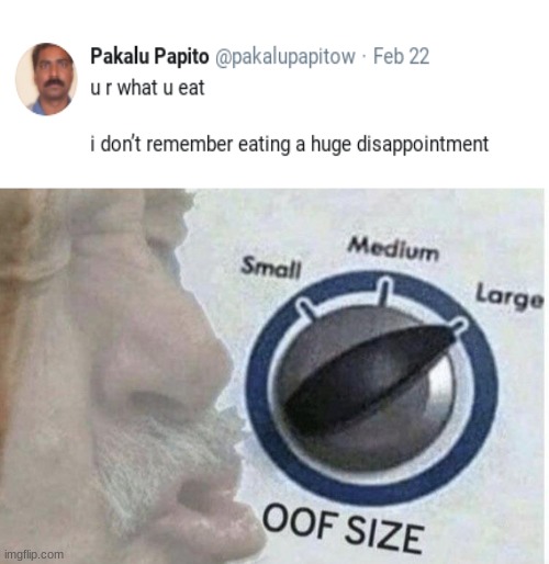 big oof | image tagged in oof size large | made w/ Imgflip meme maker