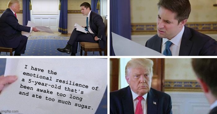 Trump sheet | I have the emotional resilience of a 5-year-old that's been awake too long and ate too much sugar. | image tagged in trump sheet | made w/ Imgflip meme maker