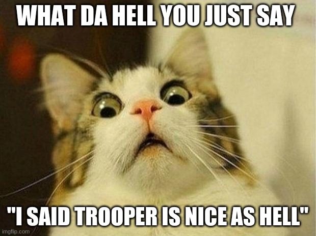 Scared Cat | WHAT DA HELL YOU JUST SAY; "I SAID TROOPER IS NICE AS HELL" | image tagged in memes,scared cat | made w/ Imgflip meme maker