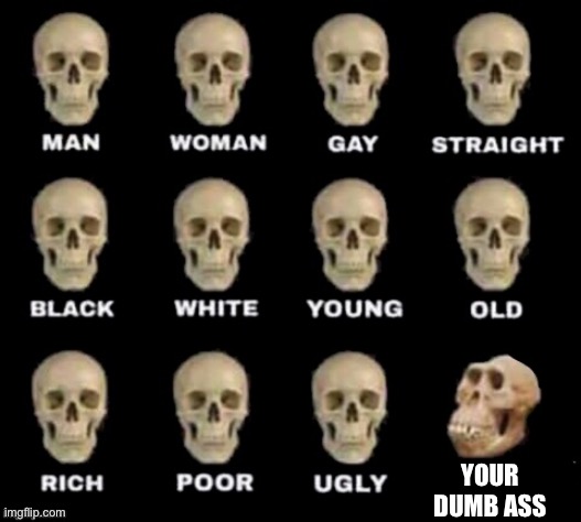 haah | YOUR DUMB ASS | image tagged in idiot skull | made w/ Imgflip meme maker