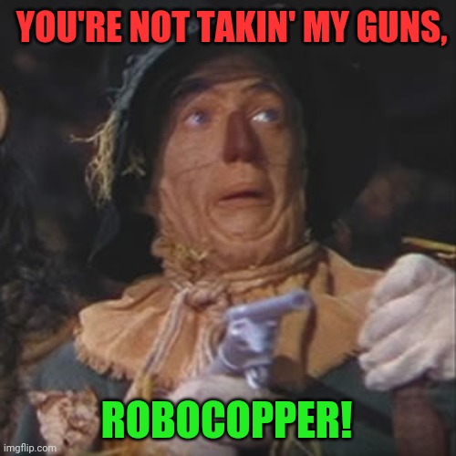 Scarecrow with gun | YOU'RE NOT TAKIN' MY GUNS, ROBOCOPPER! | image tagged in scarecrow with gun | made w/ Imgflip meme maker