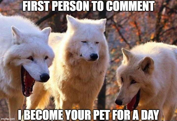 oof | FIRST PERSON TO COMMENT; I BECOME YOUR PET FOR A DAY | image tagged in laughing wolf,cool | made w/ Imgflip meme maker