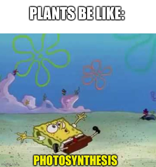  PLANTS BE LIKE:; PHOTOSYNTHESIS | image tagged in spongebob,plants,memes | made w/ Imgflip meme maker