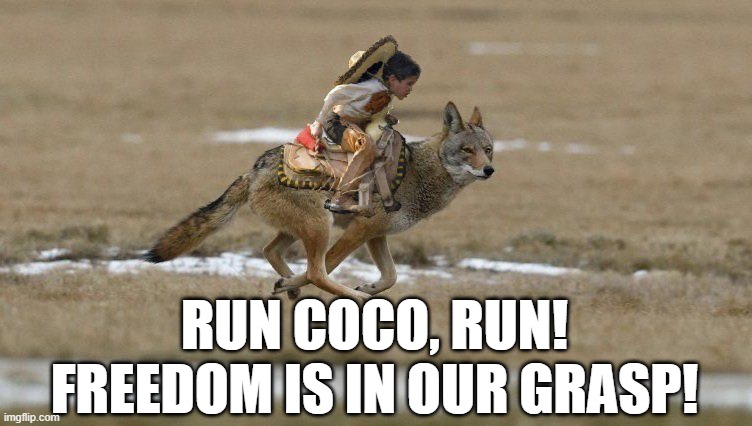 My God, democrats are stupid. | RUN COCO, RUN!
FREEDOM IS IN OUR GRASP! | image tagged in democrats,coyote,memes | made w/ Imgflip meme maker