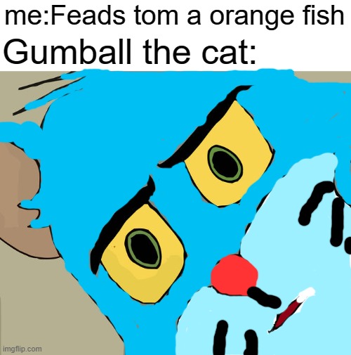 gumball meme | me:Feads tom a orange fish; Gumball the cat: | image tagged in memes,unsettled tom | made w/ Imgflip meme maker