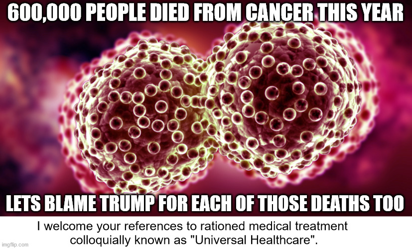 If it's bad blame Trump for it. | 600,000 PEOPLE DIED FROM CANCER THIS YEAR; LETS BLAME TRUMP FOR EACH OF THOSE DEATHS TOO; I welcome your references to rationed medical treatment 
colloquially known as "Universal Healthcare". | image tagged in cancer cells,donald trump is an idiot,election 2020,your argument is invalid,blame russia | made w/ Imgflip meme maker
