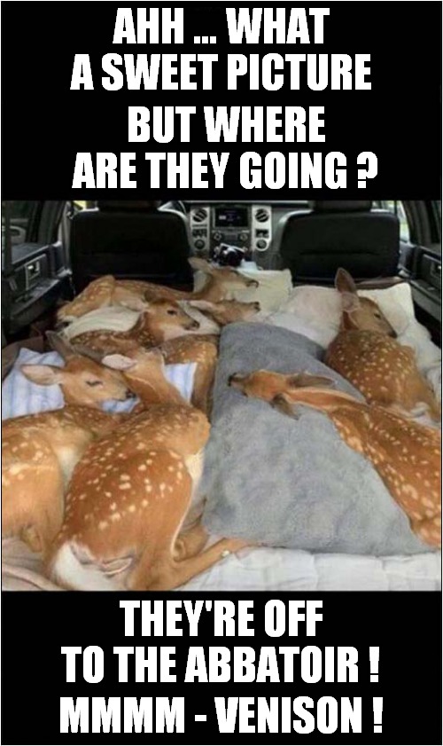 Oh Dear, Oh Deer ! | AHH … WHAT A SWEET PICTURE; BUT WHERE ARE THEY GOING ? THEY'RE OFF TO THE ABBATOIR ! MMMM - VENISON ! | image tagged in fun,bambi,venison,frontpage | made w/ Imgflip meme maker