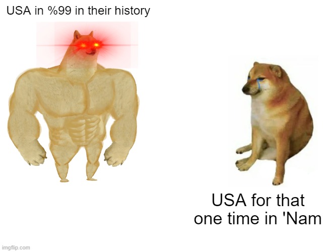 THEY ARE IN THE TREES | USA in %99 in their history; USA for that one time in 'Nam | image tagged in memes,buff doge vs cheems,usa,vietnam,1960s | made w/ Imgflip meme maker