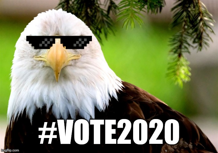 #Vote2020 Thug Life Eagle | #VOTE2020 | image tagged in election 2020 | made w/ Imgflip meme maker