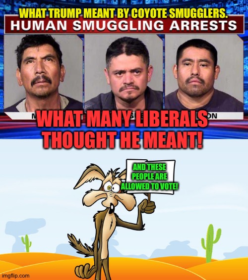 Wylie e coyote | WHAT TRUMP MEANT BY COYOTE SMUGGLERS. WHAT MANY LIBERALS THOUGHT HE MEANT! AND THESE PEOPLE ARE ALLOWED TO VOTE! | image tagged in wile e coyote | made w/ Imgflip meme maker