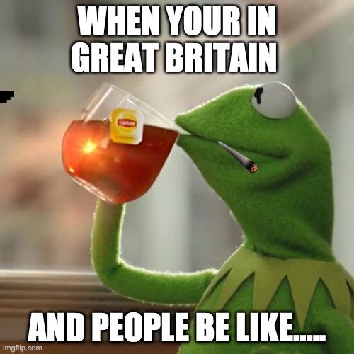 But That's None Of My Business Meme | WHEN YOUR IN GREAT BRITAIN; AND PEOPLE BE LIKE..... | image tagged in memes,but that's none of my business,kermit the frog | made w/ Imgflip meme maker