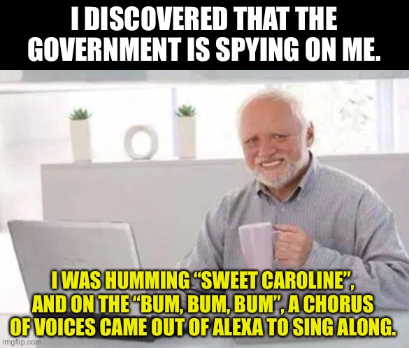 Bum, Bum, Bum | I DISCOVERED THAT THE GOVERNMENT IS SPYING ON ME. I WAS HUMMING “SWEET CAROLINE”, AND ON THE “BUM, BUM, BUM”, A CHORUS OF VOICES CAME OUT OF ALEXA TO SING ALONG. | image tagged in harold | made w/ Imgflip meme maker