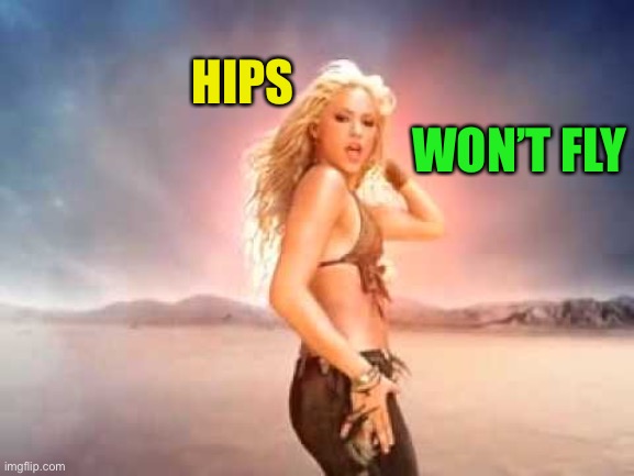 Shakira | HIPS WON’T FLY | image tagged in shakira | made w/ Imgflip meme maker