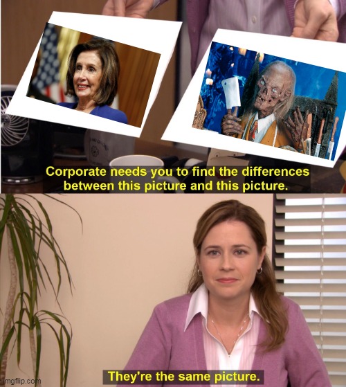 Probably been done before but here we are anyway | image tagged in memes,they're the same picture,nancy pelosi | made w/ Imgflip meme maker