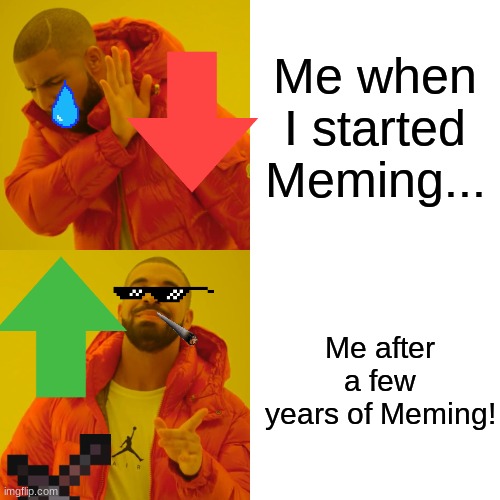 Thanks a lot for helping my meme journey! | Me when I started Meming... Me after a few years of Meming! | image tagged in memes,drake hotline bling | made w/ Imgflip meme maker