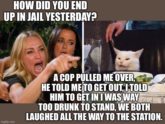 Woman yelling at cat | HOW DID YOU END UP IN JAIL YESTERDAY? A COP PULLED ME OVER, HE TOLD ME TO GET OUT, I TOLD HIM TO GET IN I WAS WAY TOO DRUNK TO STAND, WE BOTH LAUGHED ALL THE WAY TO THE STATION. | image tagged in smudge the cat | made w/ Imgflip meme maker