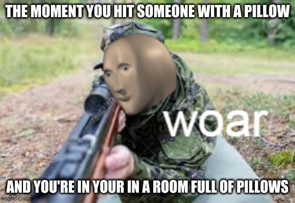 This is woar | THE MOMENT YOU HIT SOMEONE WITH A PILLOW; AND YOU'RE IN YOUR IN A ROOM FULL OF PILLOWS | image tagged in woar | made w/ Imgflip meme maker