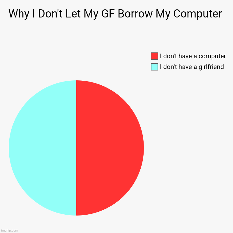 Why I Don't Let My GF Borrow My Computer | I don't have a girlfriend, I don't have a computer | image tagged in charts,pie charts | made w/ Imgflip chart maker