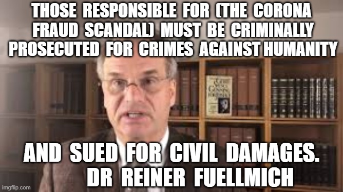 THOSE  RESPONSIBLE  FOR  (THE  CORONA  FRAUD  SCANDAL)  MUST  BE  CRIMINALLY  PROSECUTED  FOR  CRIMES  AGAINST HUMANITY; AND  SUED  FOR  CIVIL  DAMAGES.          DR  REINER  FUELLMICH | image tagged in plandemic,dr reiner fuellmich,class action lawsuit,coronavirus,covid19 | made w/ Imgflip meme maker