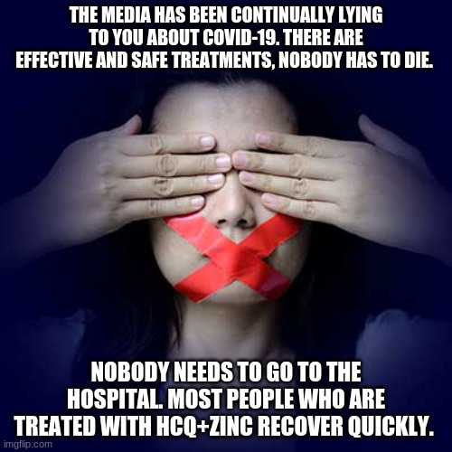 THE MEDIA HAS BEEN CONTINUALLY LYING TO YOU ABOUT COVID-19. THERE ARE EFFECTIVE AND SAFE TREATMENTS, NOBODY HAS TO DIE. NOBODY NEEDS TO GO TO THE HOSPITAL. MOST PEOPLE WHO ARE TREATED WITH HCQ+ZINC RECOVER QUICKLY. | image tagged in truth | made w/ Imgflip meme maker