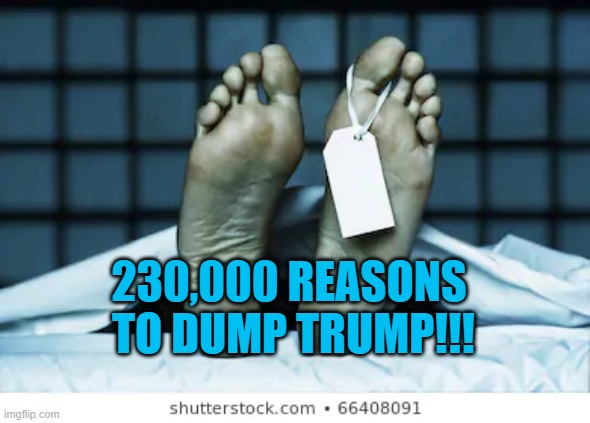 President Pandemic Has To Go. | 230,000 REASONS
 TO DUMP TRUMP!!! | image tagged in politics | made w/ Imgflip meme maker