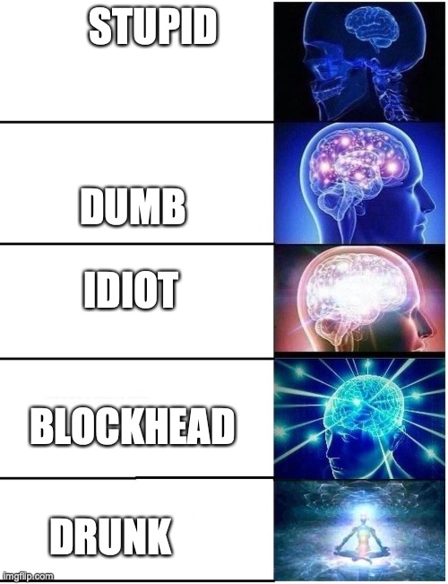 How it works: | STUPID; DUMB; IDIOT; BLOCKHEAD; DRUNK | image tagged in expanding brain 5 panel,names,insult | made w/ Imgflip meme maker