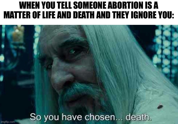 True lol | WHEN YOU TELL SOMEONE ABORTION IS A MATTER OF LIFE AND DEATH AND THEY IGNORE YOU: | image tagged in so you have chosen death,memes,funny,abortion,politics | made w/ Imgflip meme maker