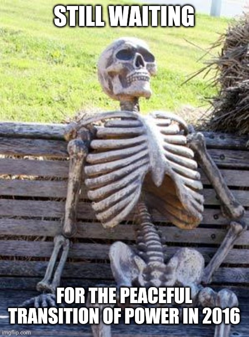 Oh , stop whining already ! | STILL WAITING FOR THE PEACEFUL TRANSITION OF POWER IN 2016 | image tagged in memes,waiting skeleton,peaceful,power,white house | made w/ Imgflip meme maker