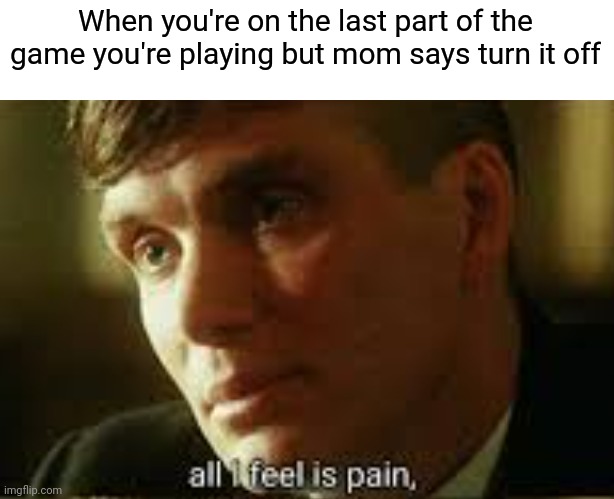 Pain | When you're on the last part of the game you're playing but mom says turn it off | image tagged in pain,gotanypain | made w/ Imgflip meme maker
