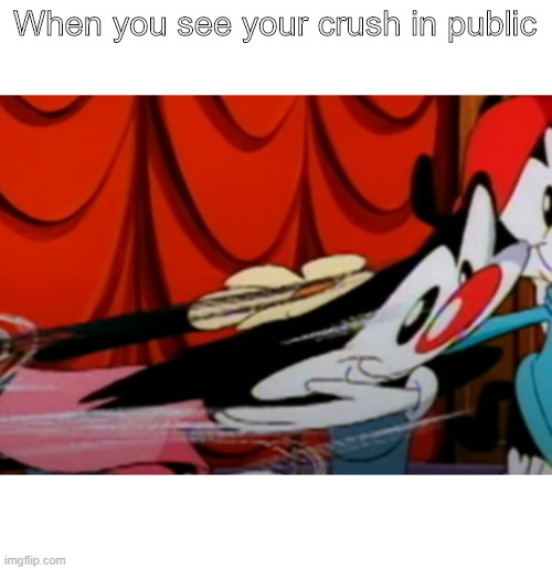 idk man im bored | When you see your crush in public | image tagged in animaniacs | made w/ Imgflip meme maker