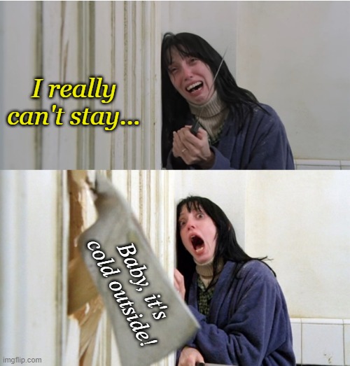 The Shining Wendy Axe | I really can't stay... Baby, it's cold outside! | image tagged in the shining wendy axe | made w/ Imgflip meme maker