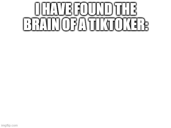 Blank White Template | I HAVE FOUND THE BRAIN OF A TIKTOKER: | image tagged in blank white template | made w/ Imgflip meme maker