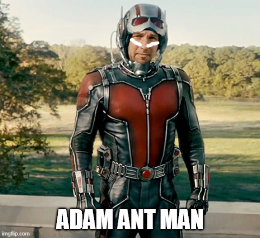 Ant Man | ADAM ANT MAN | image tagged in ant man | made w/ Imgflip meme maker