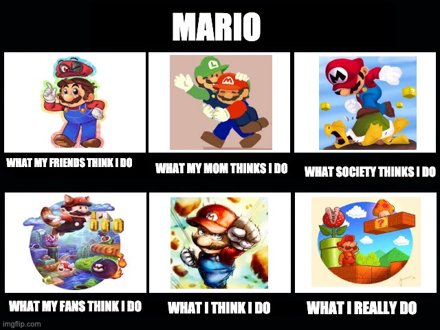 35 Years of Mario |  MARIO; WHAT MY MOM THINKS I DO; WHAT MY FRIENDS THINK I DO; WHAT SOCIETY THINKS I DO; WHAT MY FANS THINK I DO; WHAT I THINK I DO; WHAT I REALLY DO | image tagged in what my friends think i do | made w/ Imgflip meme maker