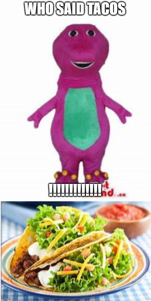 WHO SAID TACOS; !!!!!!!!!!!!! | image tagged in tacos | made w/ Imgflip meme maker