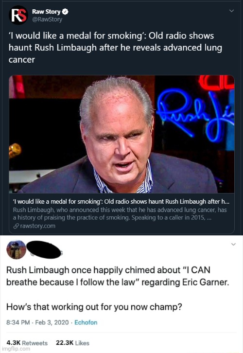 Sometimes irony comes in multiple levels. | image tagged in stupid conservatives,conservative logic,rush limbaugh,cancer,black lives matter,ditto | made w/ Imgflip meme maker