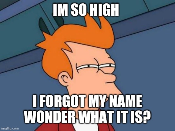 Futurama Fry Meme | IM SO HIGH; I FORGOT MY NAME WONDER WHAT IT IS? | image tagged in memes,futurama fry | made w/ Imgflip meme maker