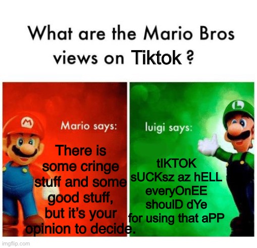 This is turning into a toxic community too. | Tiktok; There is some cringe stuff and some good stuff, but it’s your opinion to decide. tIKTOK sUCKsz az hELL everyOnEE shoulD dYe for using that aPP | image tagged in mario says luigi says | made w/ Imgflip meme maker