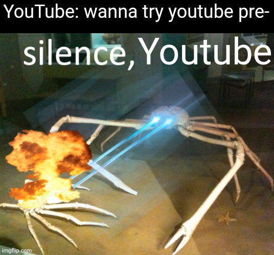 Silence Crab | YouTube: wanna try youtube pre-; Youtube | image tagged in silence crab | made w/ Imgflip meme maker